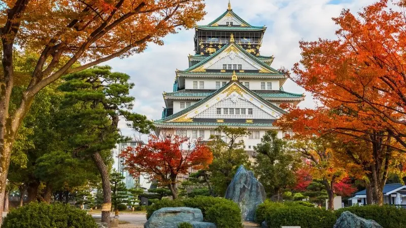 Asia FX Talking: Caution ahead of Osaka G20