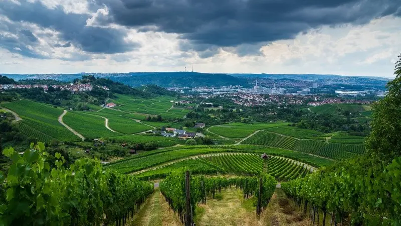 Germany: Green stimulus to the rescue?
