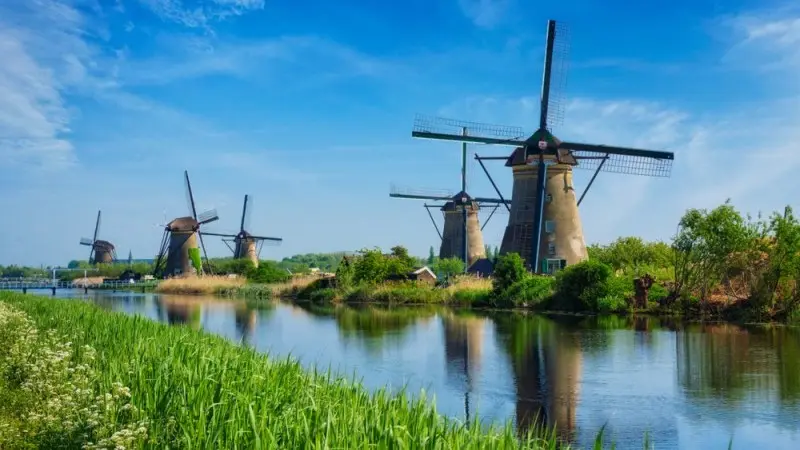 The Netherlands: Not done growing yet 