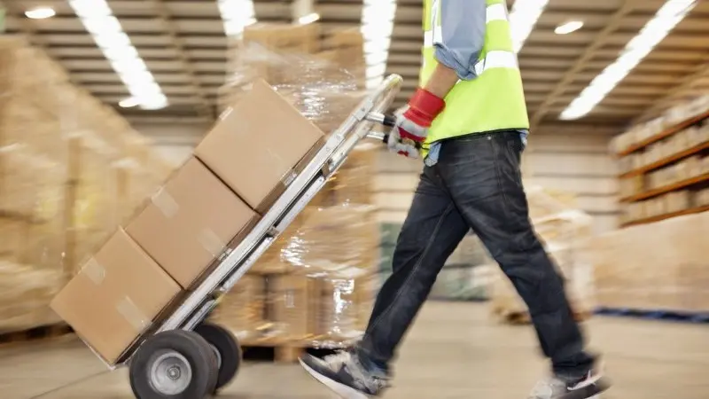 Project Syndicate: The Key to the Productivity Puzzle