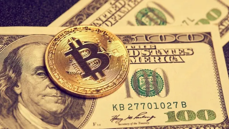 New Money II: The fundamentals
