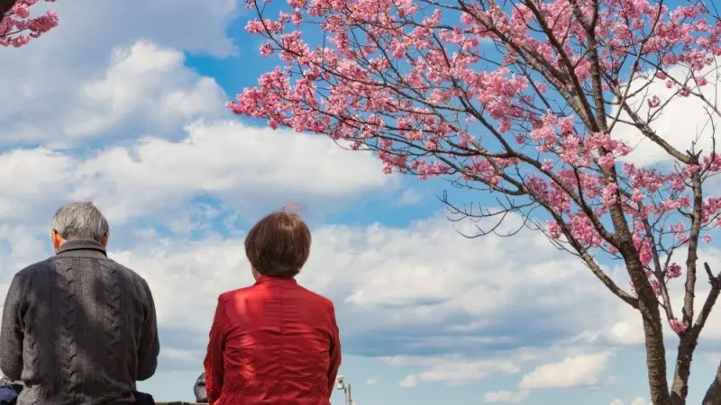 Japan's central bank: Best intentions, poor outcomes