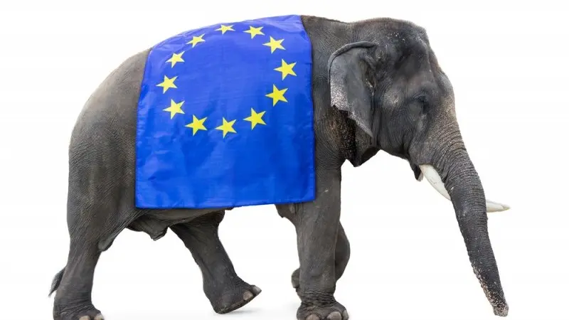 Euro Summit: Baby steps on eurozone reform 