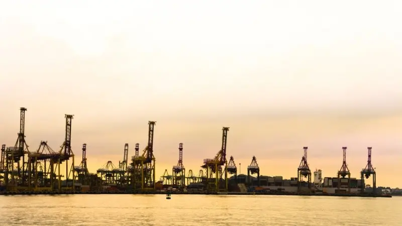 Singapore: June NODX very weak 