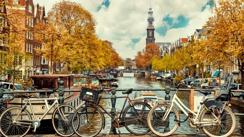 Fiscal policy of next Dutch government probably expansionary