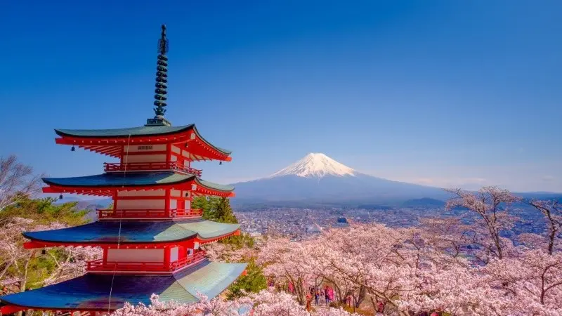 Japan's economy bounces in third quarter