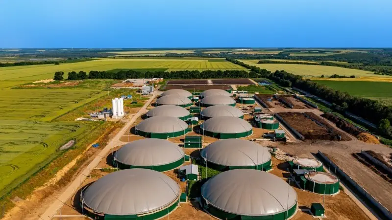 Renewable natural gas: growing significance in a niche market 