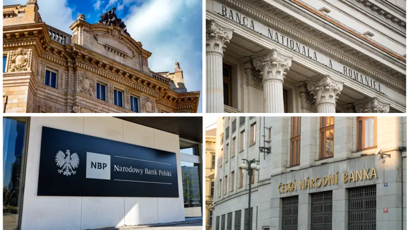 CEE Issuance Outlook 2024: Our mid-year update 