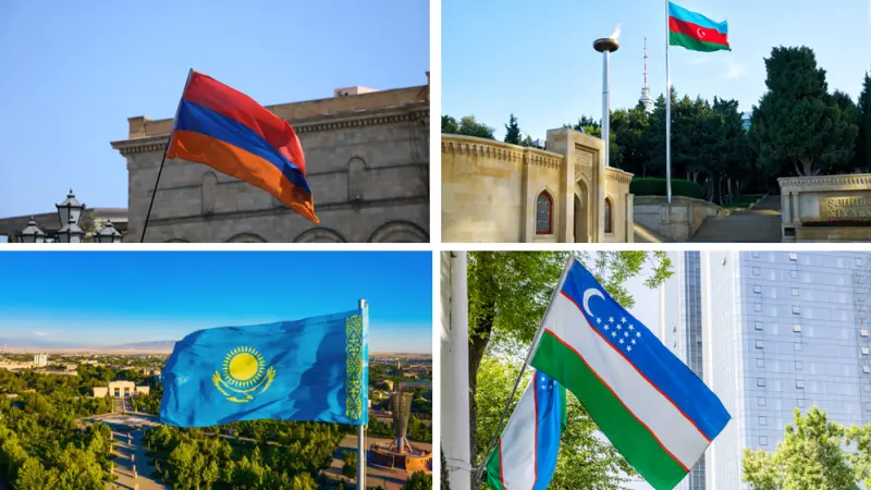 CIS-4: Domestic resilience leads to softer rates outlook