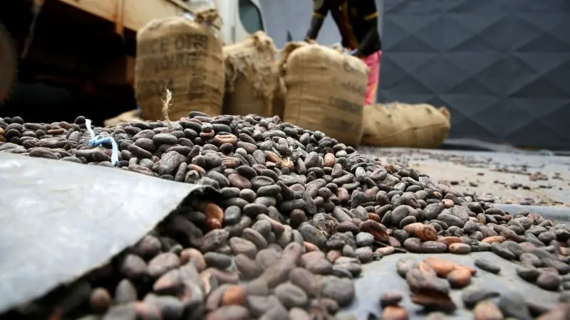 Softs volatility to continue 