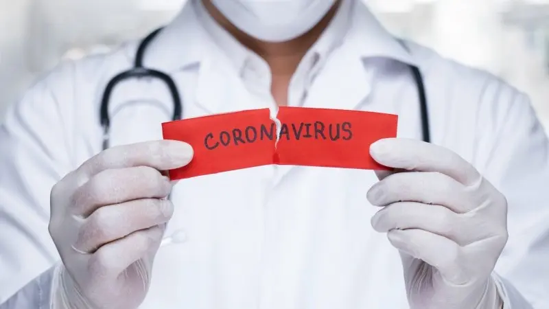 The Netherlands: targeted economic policy response to coronavirus