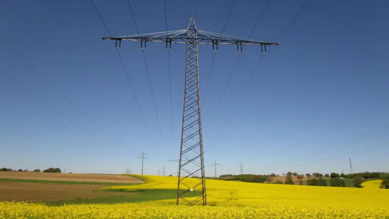 Power price normalisation and grids expansion in European utilities