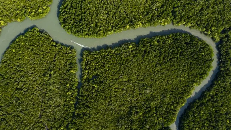 Decarbonising Corporate Sector Purchase Programme credit: Our take