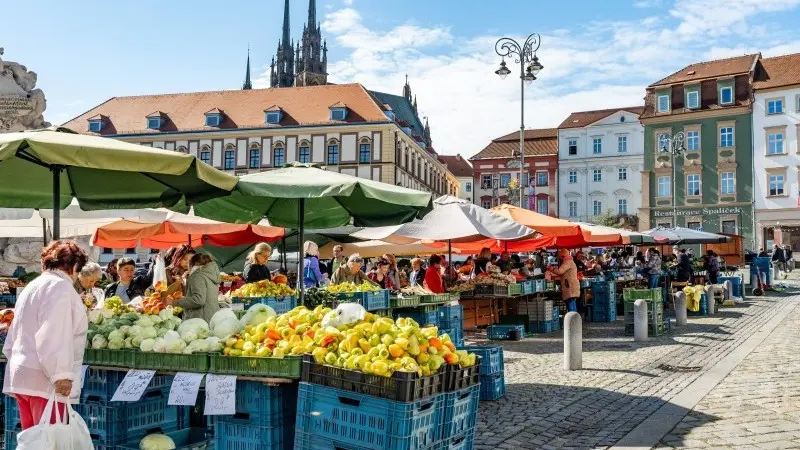 Czech inflation below the target due to volatile food prices