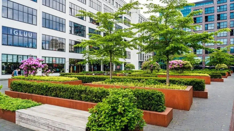 Dutch commercial real estate outlook: Growth ahead, but with limits 