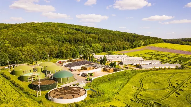 Green sovereign bond sales stabilise and so does the greenium