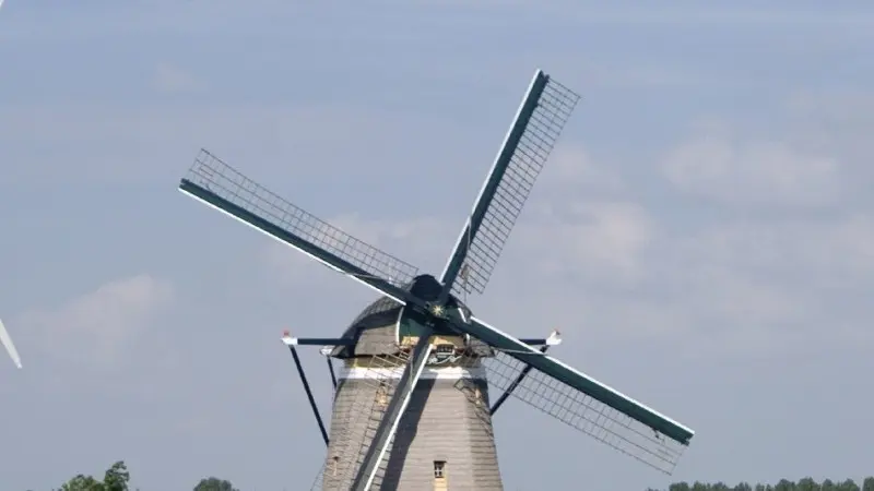 It's not easy being green