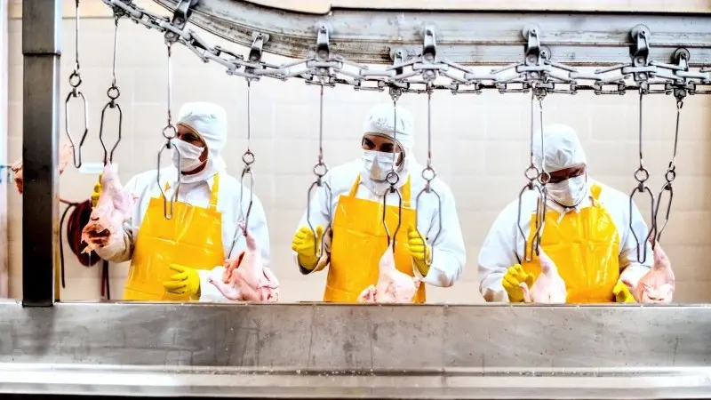 US food supply chains struggle to get back into shape