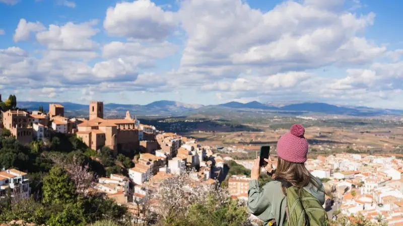 Spanish telecom paradox: private costs, public benefits  