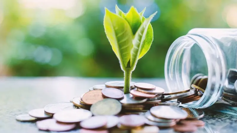 Is sustainability good for my wallet?