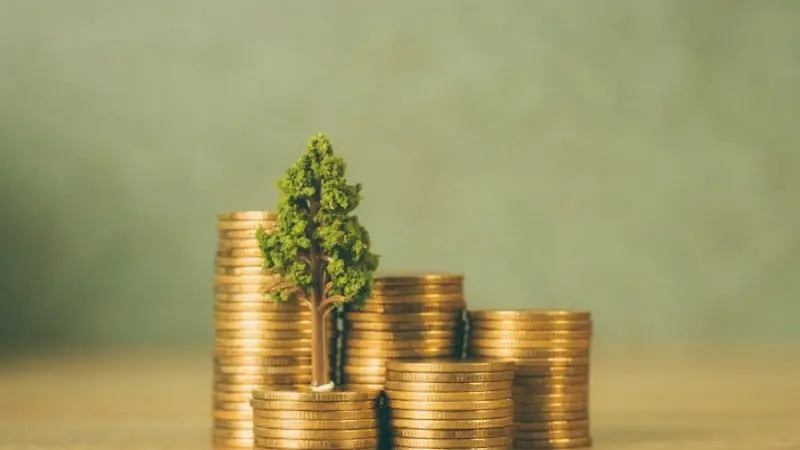 How to create a sustainable portfolio