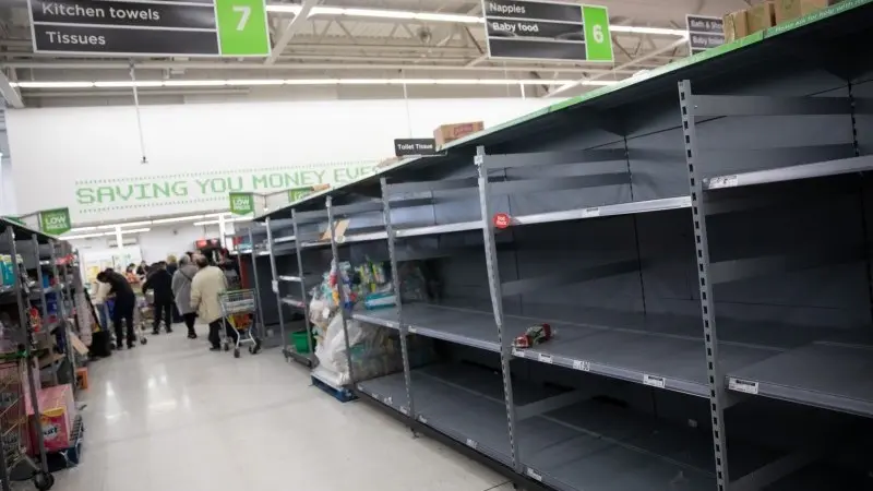 Ants, music and toilet paper: A group behaviour explanation of panic buying