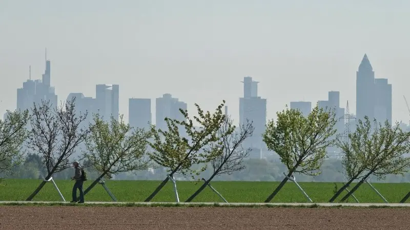 Sustainable finance: The search for 'greenium'