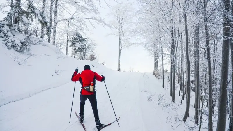 Hawkish Norges Bank to hike rates and signal more to come