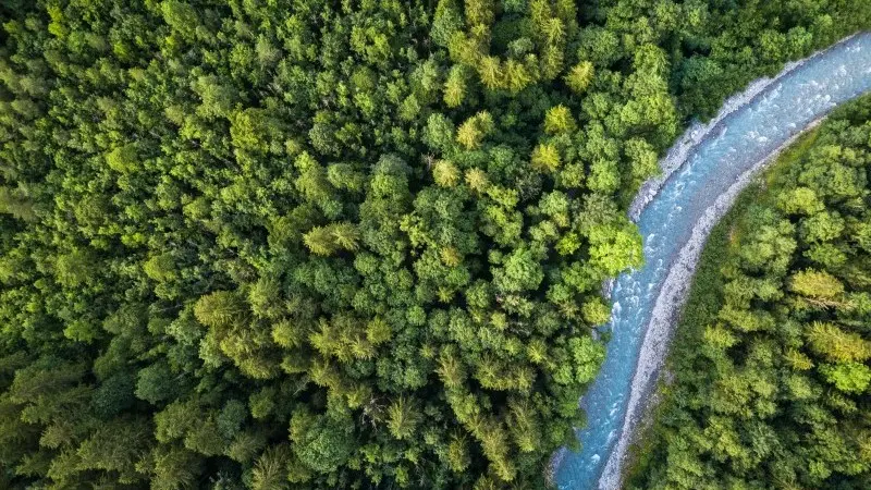 European Central Bank takes a swing at ESG