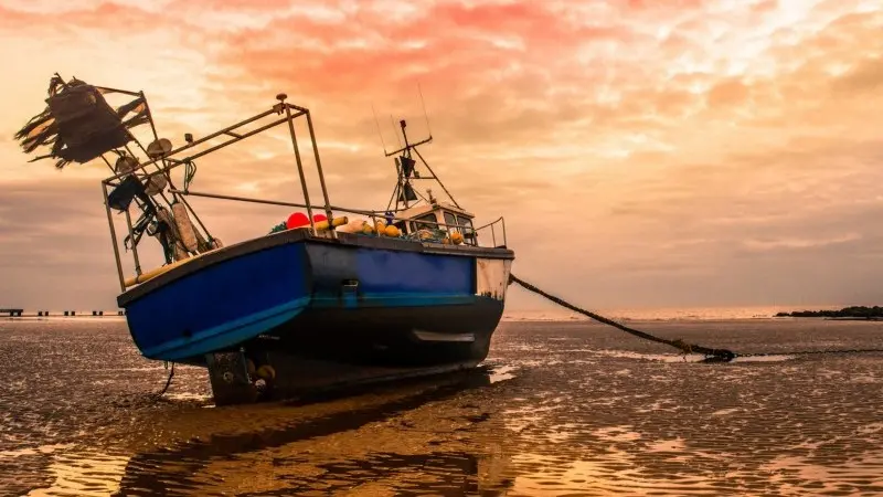 ING's July Monthly: The economic twilight zone