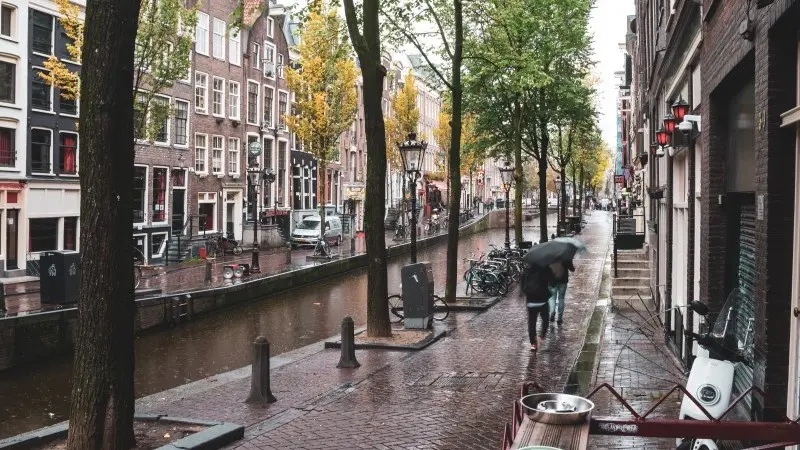 Dutch business confidence wavers amid slow economic growth