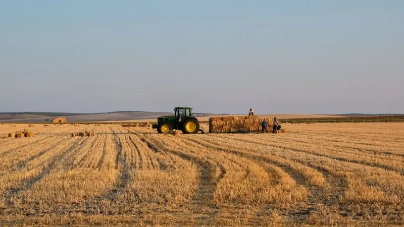 Spanish food and agriculture sector set for a post-inflation recovery