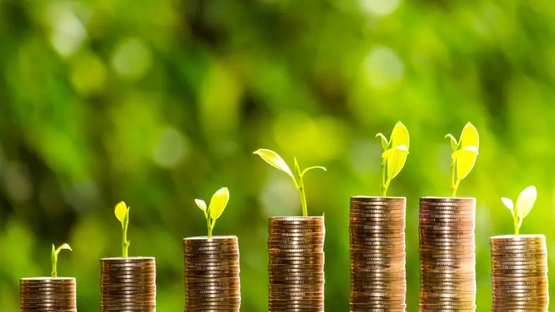 Why banks aren’t embracing the EU's Green Bond Standard 