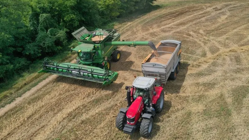 Seasonal work pushes labour market participation rate to record high in Hungary