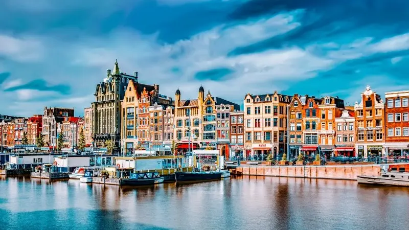 The cost of energy efficiency in the Dutch housing market  