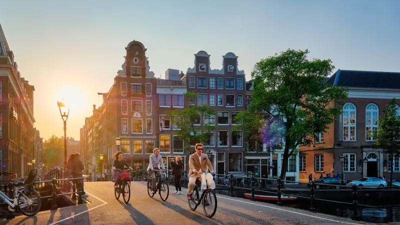 Dutch growth slows