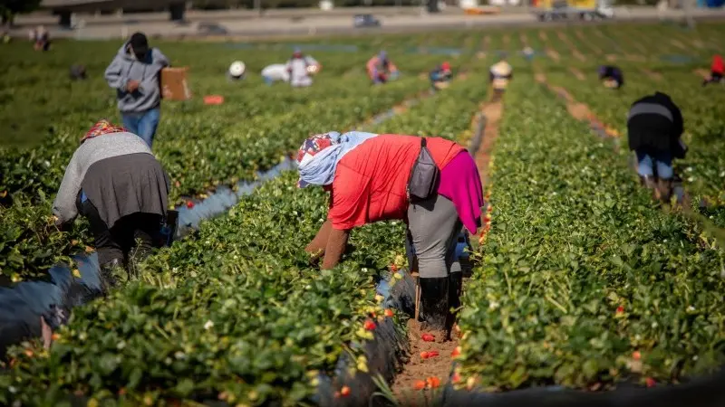 The reasons behind Europe’s productivity problem, and how to solve it