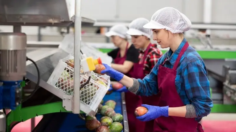 Hungarian labour market shows some softening