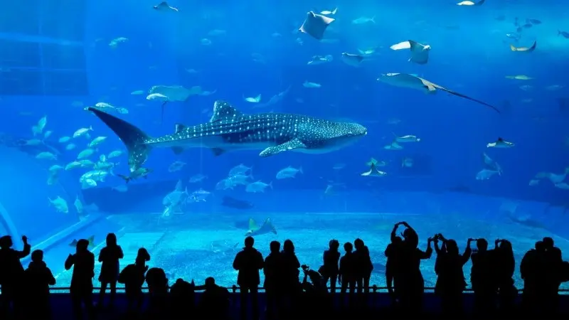 EUR rates: Fraught with risks