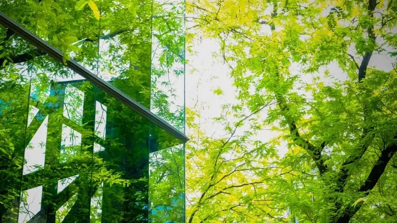 Green bank bonds: EU green bond proposals raise the bar for green issuance