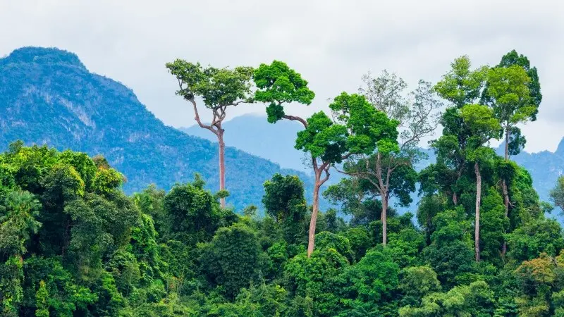 IPCC report calls for urgent behavioural change and carbon removal technologies