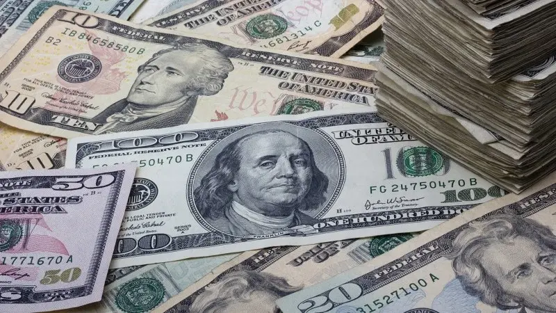 FX Daily: FOMC minutes can reinforce dollar floor