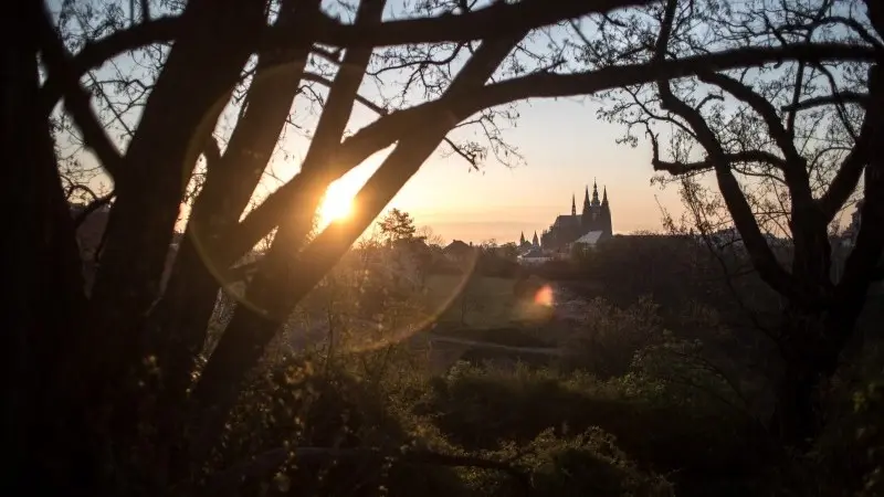 EMEA FX Talking: Stark divergences emerge within CE4