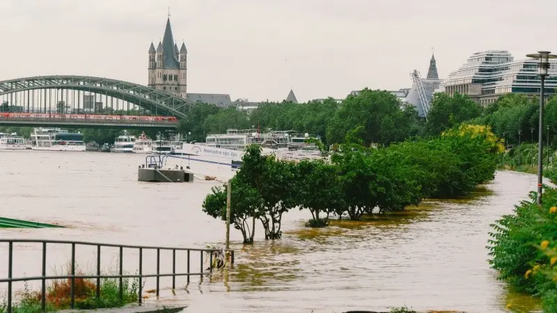 What's next for the insurance sector in 2022