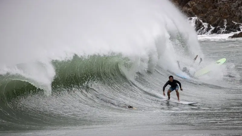 ING Monthly: Curve surfing