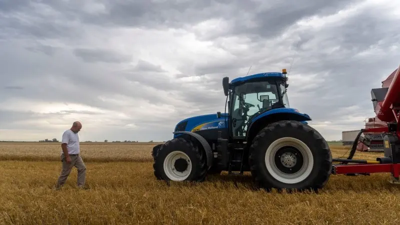 Wheat tightness to ease 