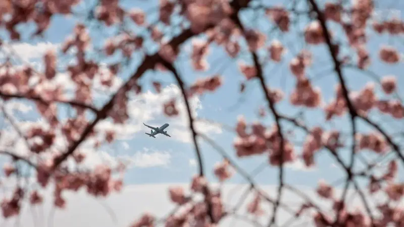 US soft landing still threatened by turbulence  