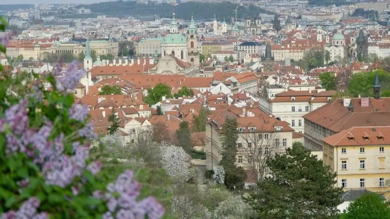 More divergence to come for the CEE region