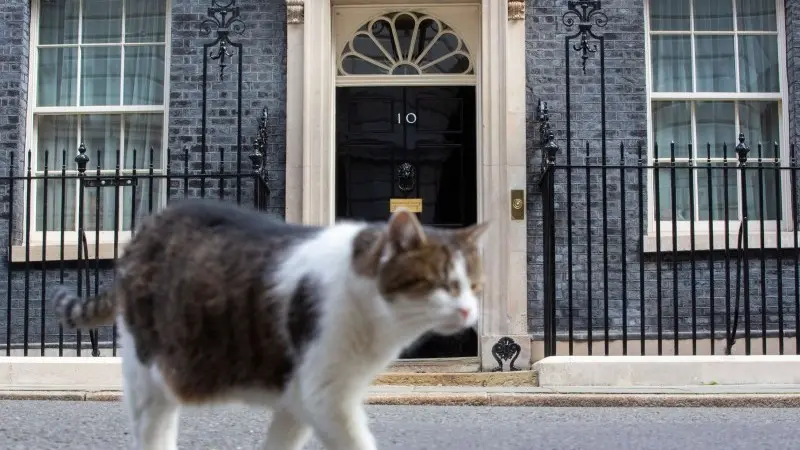 THINK Ahead: The latest cats getting the cream 