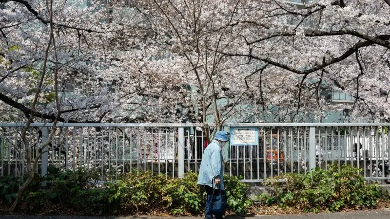 Japan: Asia's Europe? 